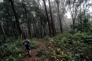 BIB: 
                            <button type="button" onclick="openModal(22792067)" class="btn btn-primary btn-sm float-right btn-popup" data-toggle="modal" data-target=".modal-high-quality">
                        <i class="fas fa-shopping-cart"></i> Add to Cart
                    </button>
                                            <button type="button" onclick="isThisMe(22792067, true)" class="btn btn-success btn-sm float-right btn-popup btn-isme hidden" data-toggle="tooltip" data-placement="bottom" title="นี่คือรูปของคุณใช่ไหม คลิกที่นี่เพื่อเอาเข้าอัลบั้ม">
                        <i class="fas fa-plus"></i> Add to album
                    </button>
                    <button type="button" onclick="isThisMe(22792067, false)" class="btn btn-warning btn-sm float-right btn-popup btn-isnotme hidden">
                        <i class="fas fa-ban"></i> Remove from album
                    </button>